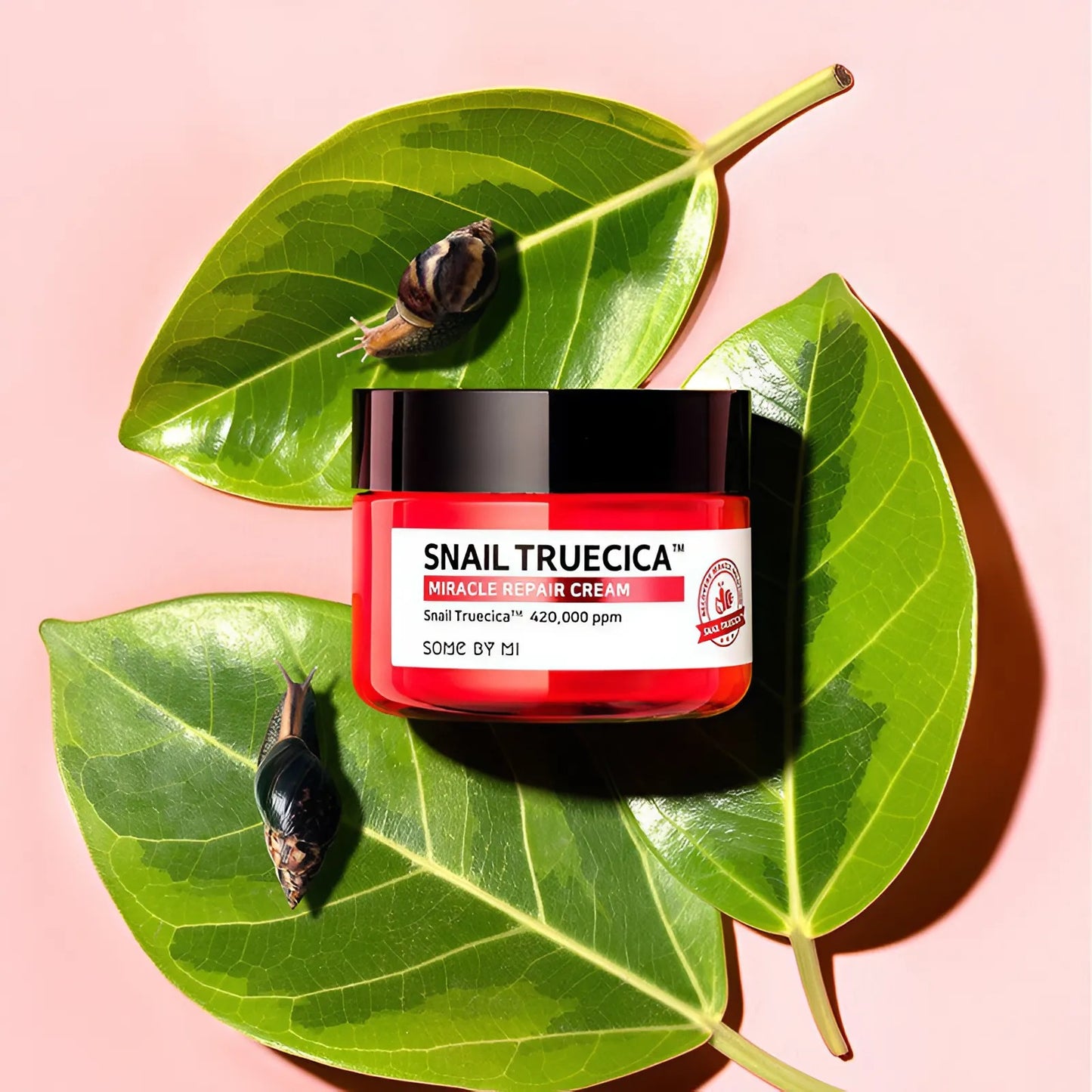 Some By Mi Snail Truecica Miracle Repair Cream - 60g
