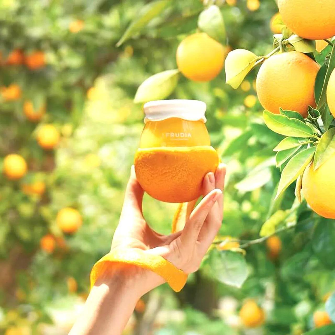 FRUDIA - Citrus Brightening Cream