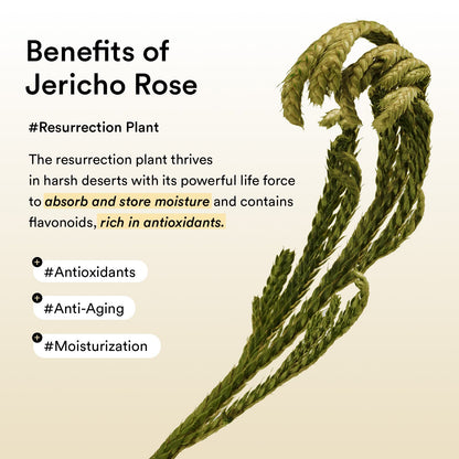 Vegan Collagen Eye Patch Jericho Rose Jelly – 60 Patches / 90ml
