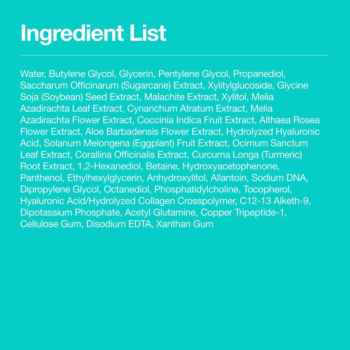 Anua PDRN 100 Hyaluronic Acid Booster Toner – 250ml